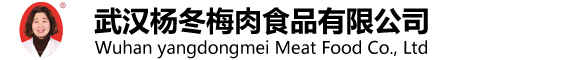 企业通用模版网站